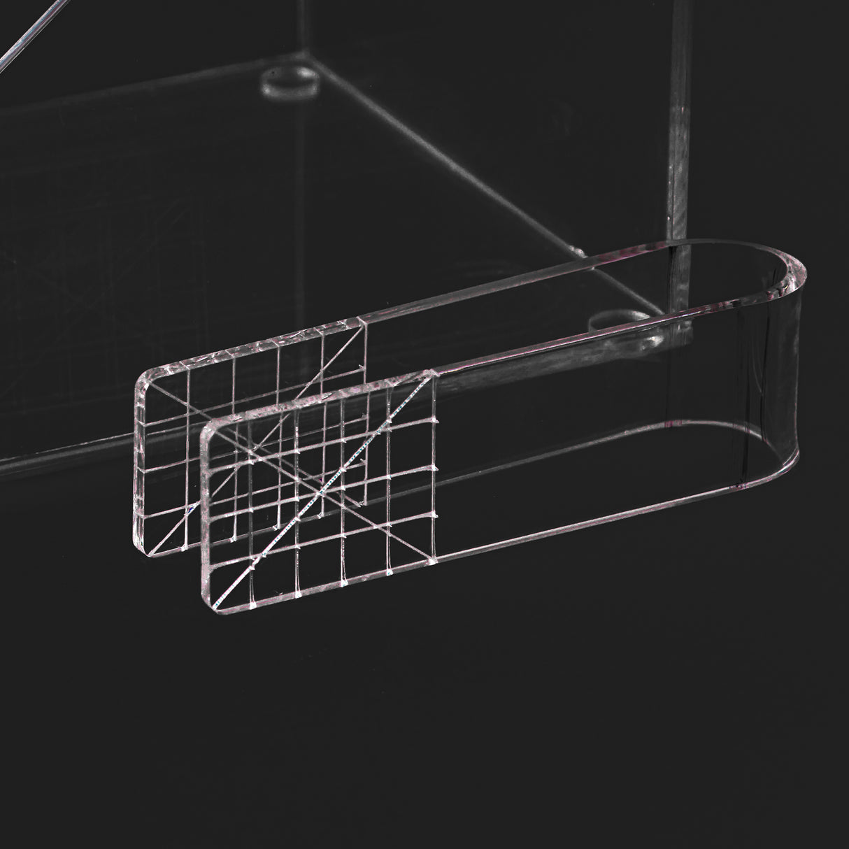 Ice holder with cover