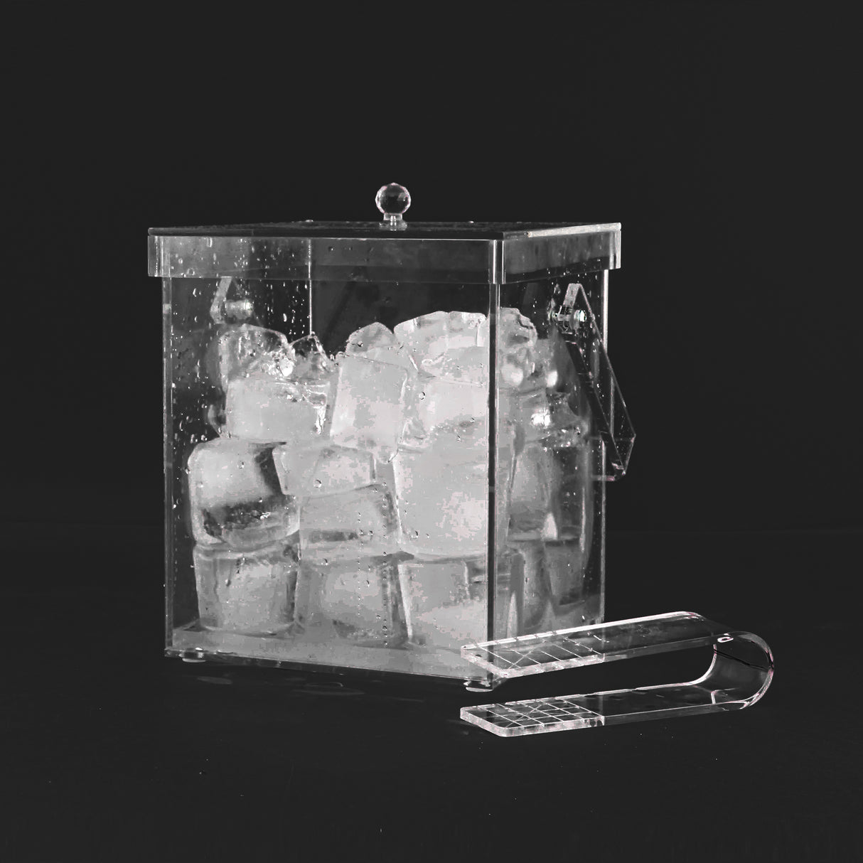 Ice holder with cover